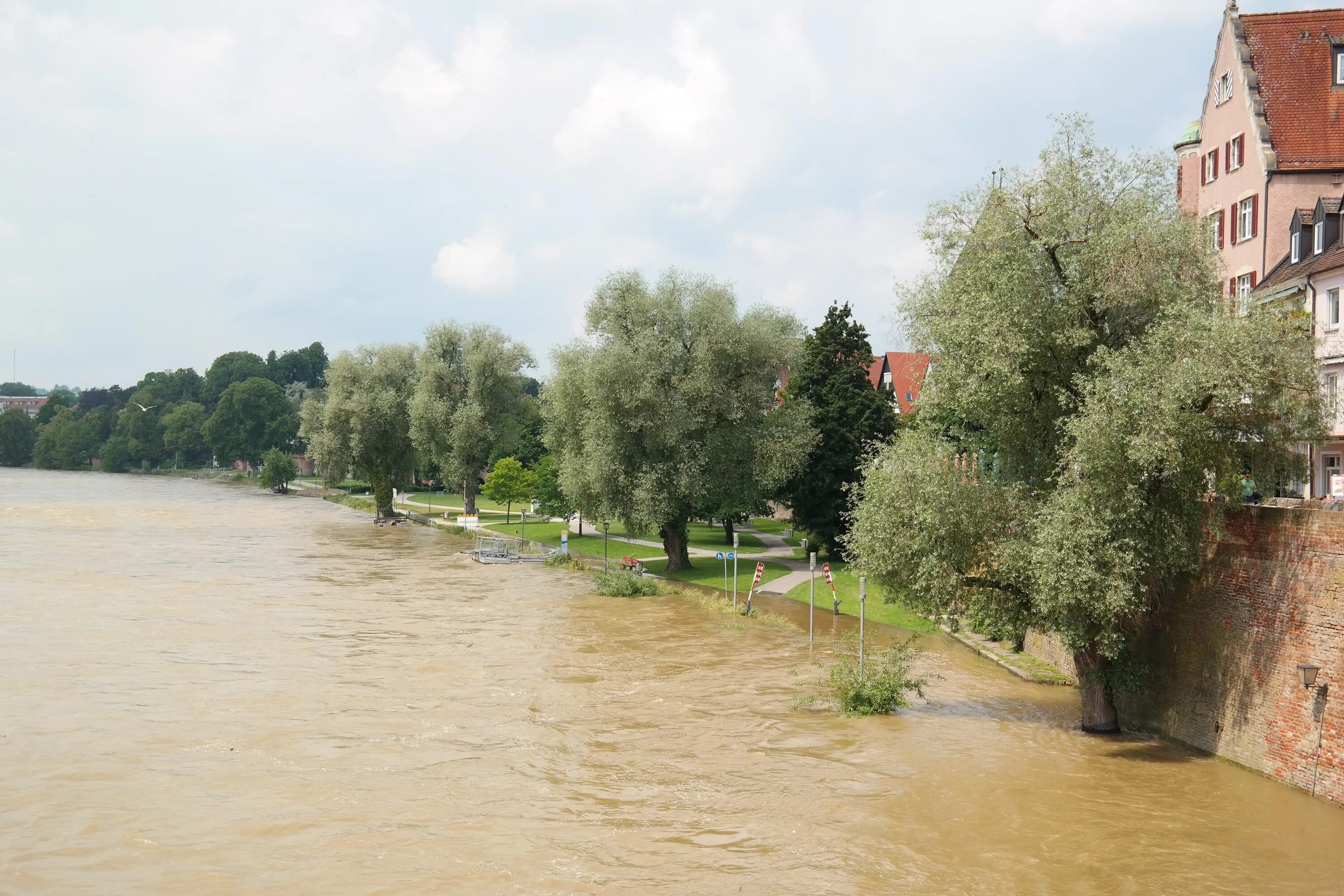 Ульма (река). Наводнение деревья в воде. Наводнение на +Дунае фото 2006. Наводнение Харьков.