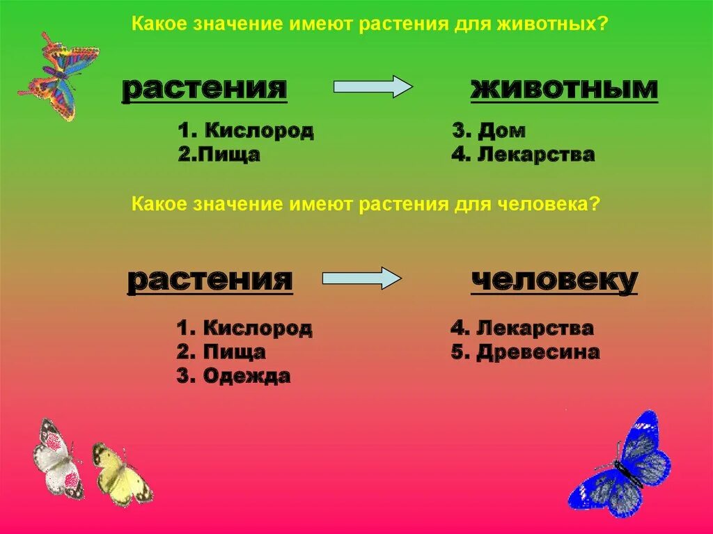 Какое значение имеет животных и человека. Что дают растения животным и человеку. Схема что дают растения животным и человеку. Схема чтотдажт растения животным и человеку. Схемачтодаютрастениялюдямиживо ным.