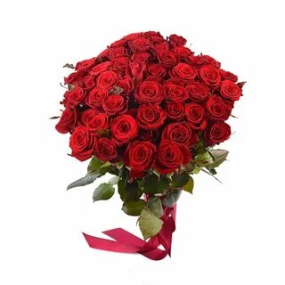 Prestige rose