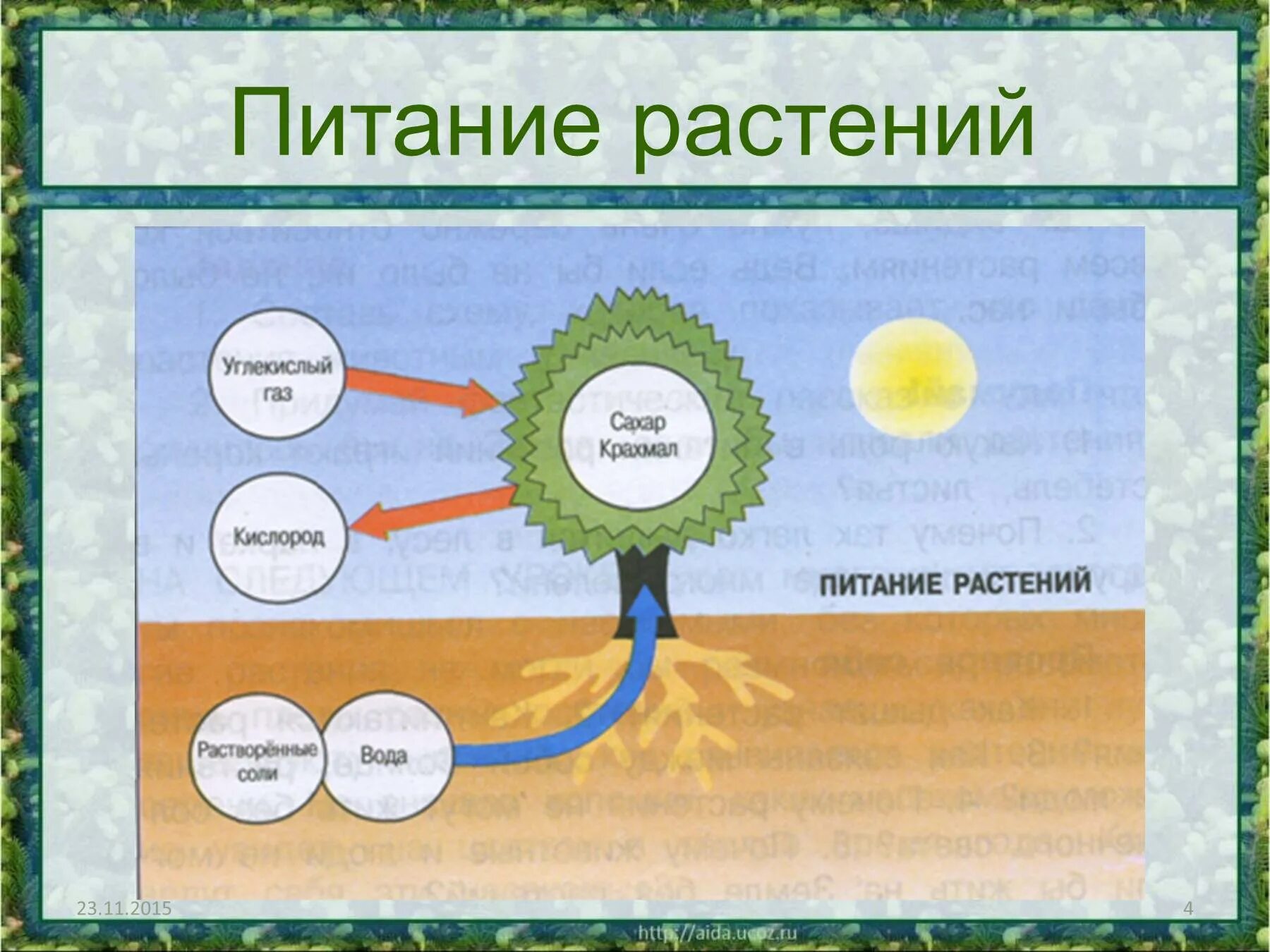 Дыхание растений это процесс ответ. Схема дыхания растений 3 класс. Схема питания растений 3 класс окружающий мир. Как питаются растения. Процесс питания растений.