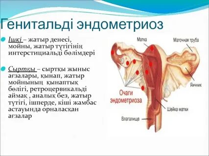 Порно сығылған және азапталған сиськи
