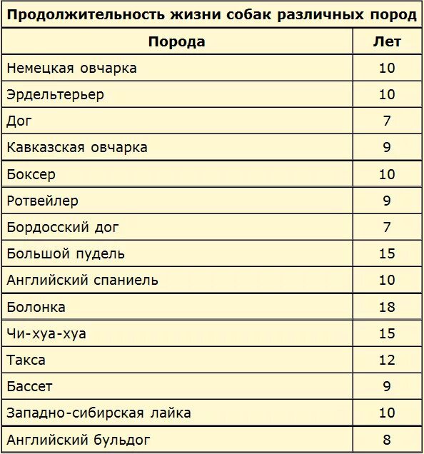 Срок жизни собак