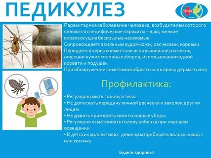 Группа педикулез