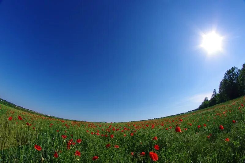 Ясно безоблачно. Ясное небо. Ясно безоблачно. Ясное небо. Летнее небо с облаками.