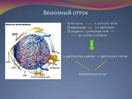 Венозный отток