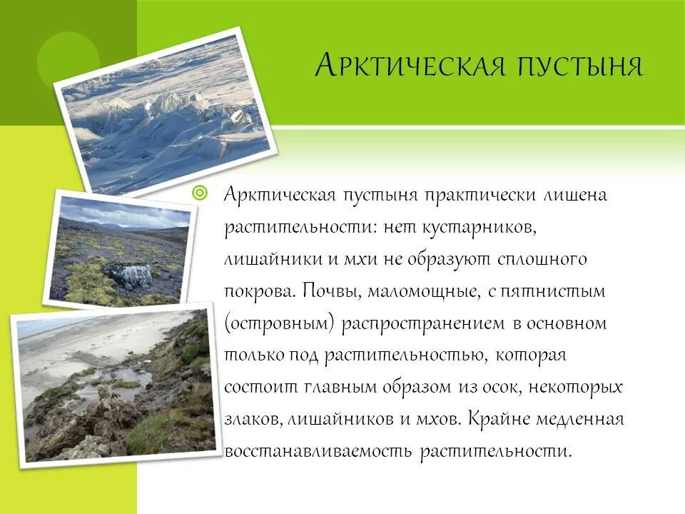 Полярные природные особенности. Арктическая пустыня описание. Арктические пустыни характеристика. Описание арктических пустынь. Характеристика арктических пустынь кратко.