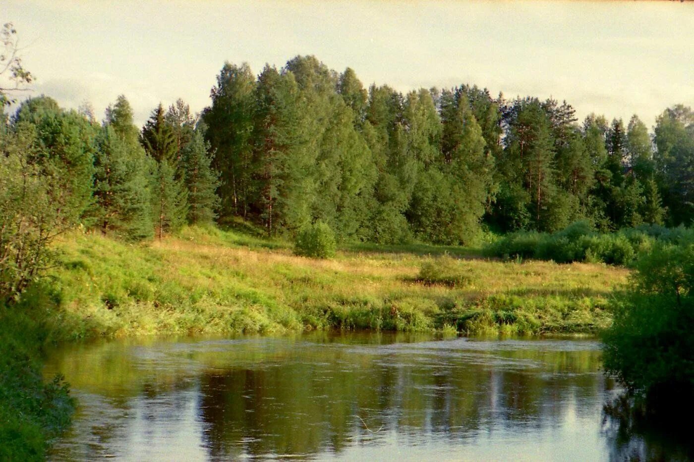 Нея картинки. Река нея Костромская область. Река Номжа Костромской области. Река нея Кострома. Город нея Костромской области река.
