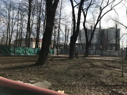 Новая абрамова грушевка