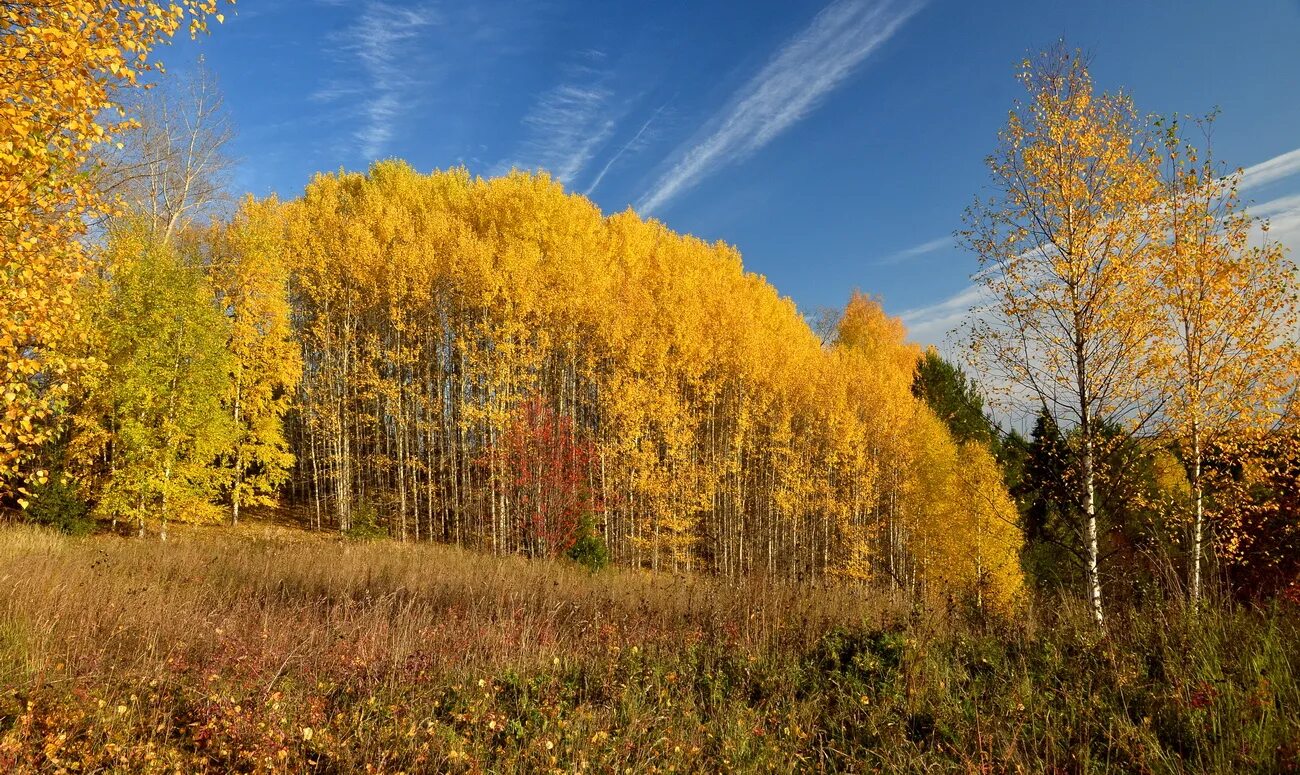 1. Афанасий фет земля прощается с землею. Бальмонт стихи про солнце короткие. Константин бальмонт осень. Константин бальмонт поспевает брусника.