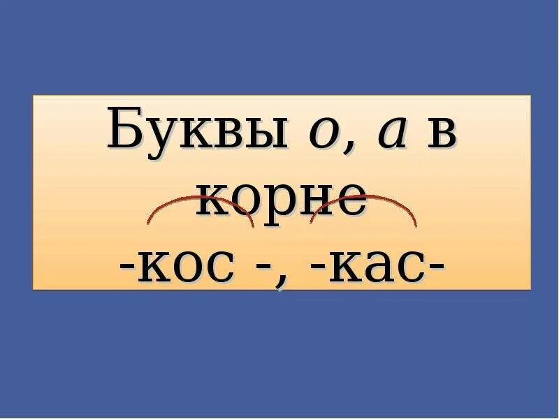 КАС кос чередование. Буквы а и о в корне КАС кос правило. Корни КАС кос правило. Буквы о и а в корне -лаг- -лож-. Чередующиеся гласные в корне кос кас