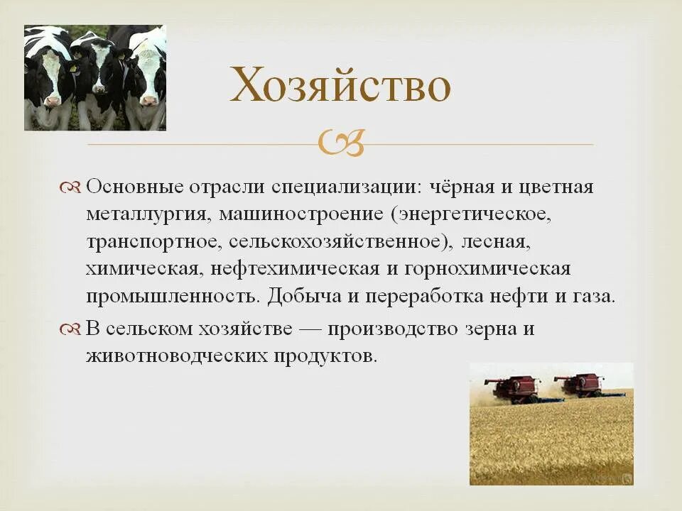 В чем различия специализации сельского хозяйства. Отрасли хозяйства. Основные отрасли сельского хозяйства. Отрасли специализации. Отрасли специализации сельского хозяйства.