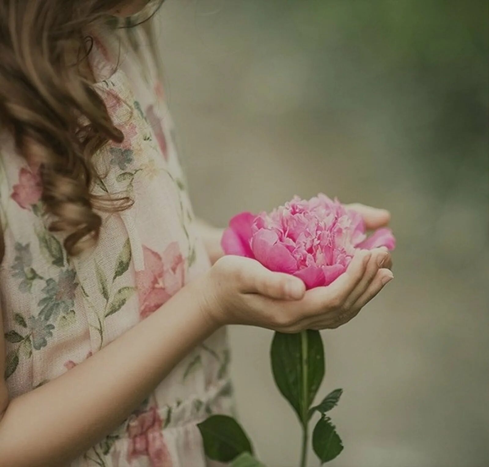 Фото цветы в руках девушки без лица