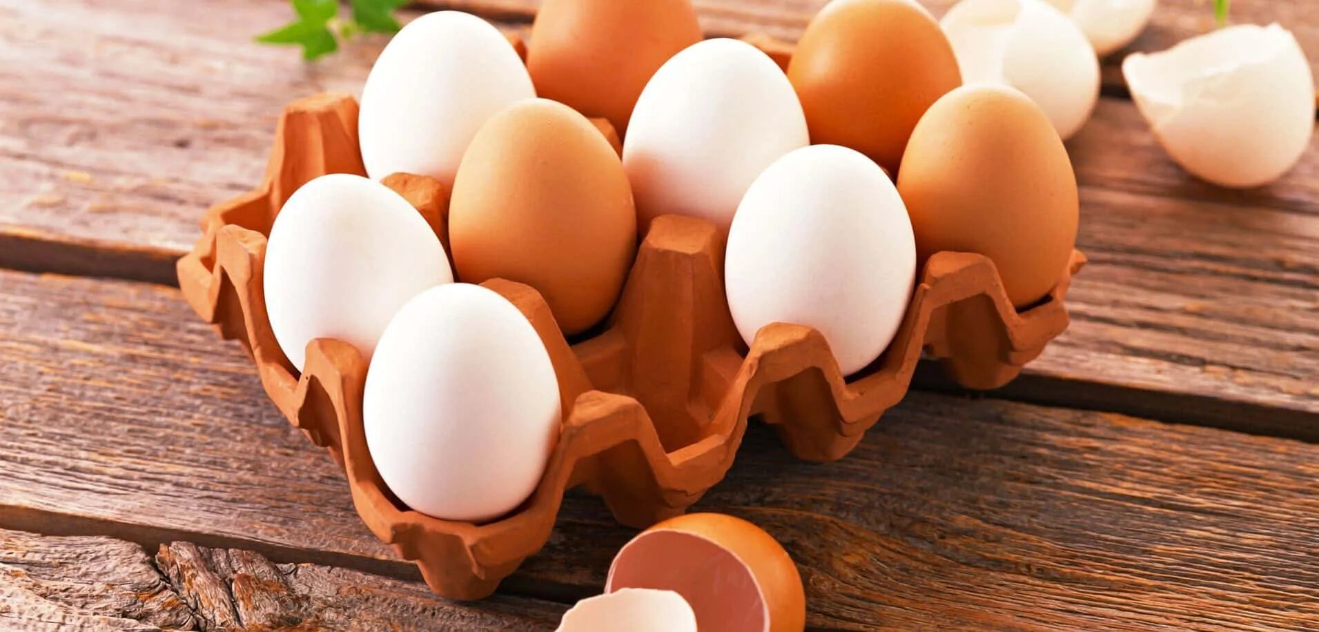Egg картинки