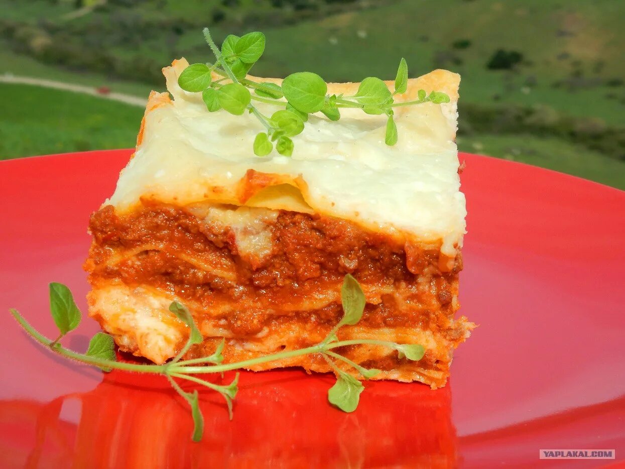 можно ли лазанью. лазанья с рыбой. лазанья с фаршем. можно ли лазанью. джон лазанья.