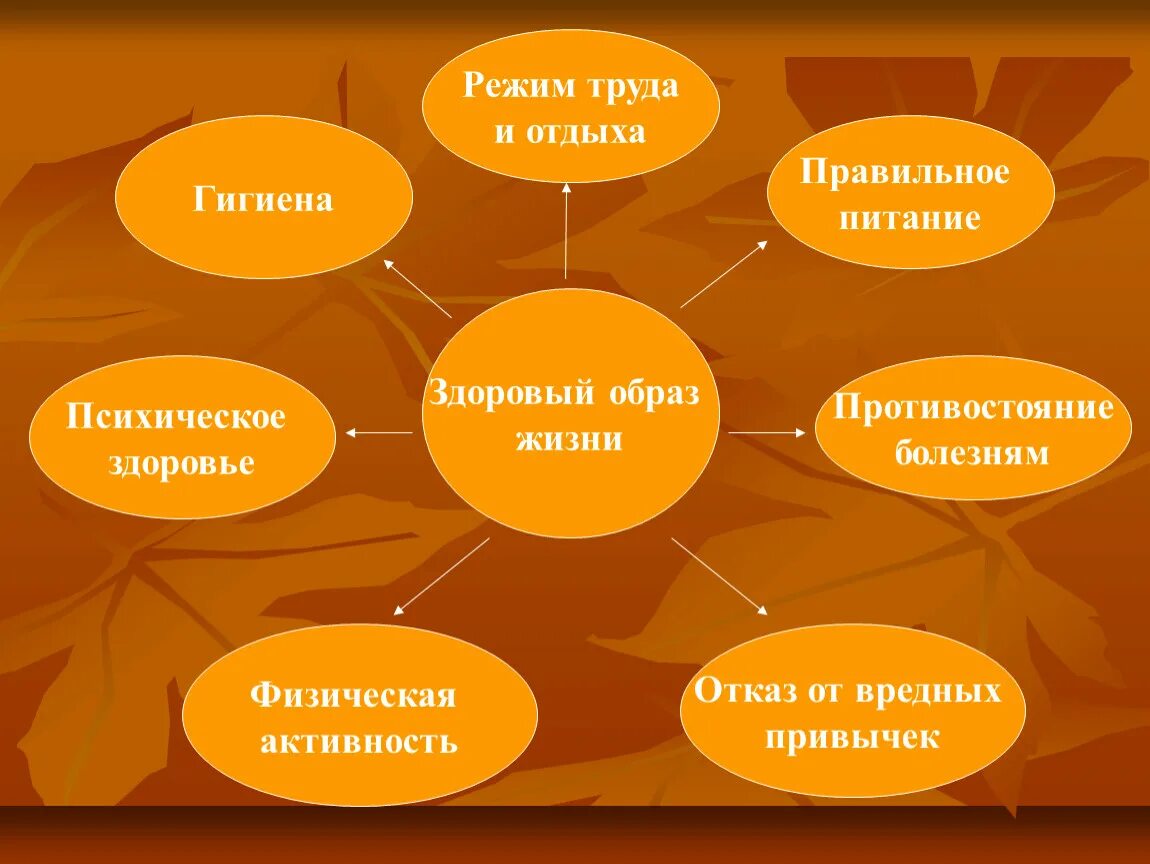 Что относится к слагаемым здорового образа жизни. Здоровый образ жизни психологическое здоровье. Здоровый образ жизни психика. Индивидуальная модель здорового образа жизни. Здоровье презентация.