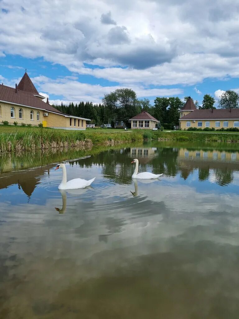 Аркуда сафари парк свердловская. Сафари парк бисерть аркуда. Аркуда сафари парк свердловская. Сафари парк бисерть аркуда. Аркуда сафари парк свердловская область.