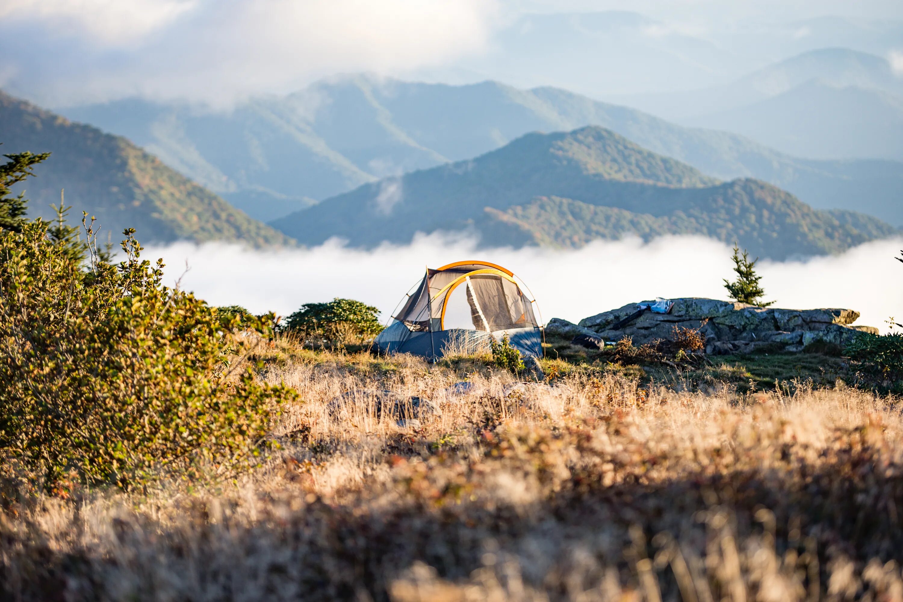 Mountains camping. Глэмпинг Алтай. Глэмпинг вдох горный Алтай. Глэмпинг в Армении. Глэмпинг в горах.