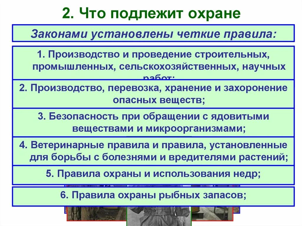 Охрана природы обязанность почему. Закон на страже природы. Законы охраняющие природу. Законы об охране природы. Закон на страже природы презентация.