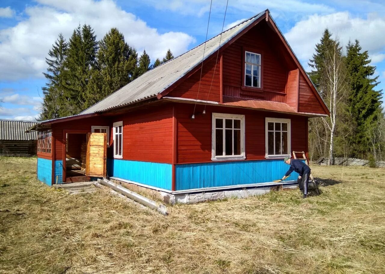 Купить квартиру хвойное. Кабожа Новгородская область Хвойнинский район. Левоча Новгородская область Хвойнинский район. Авито Хвойная недвижимость. Поселение Кабожа Хвойнинского района новости сегодня.