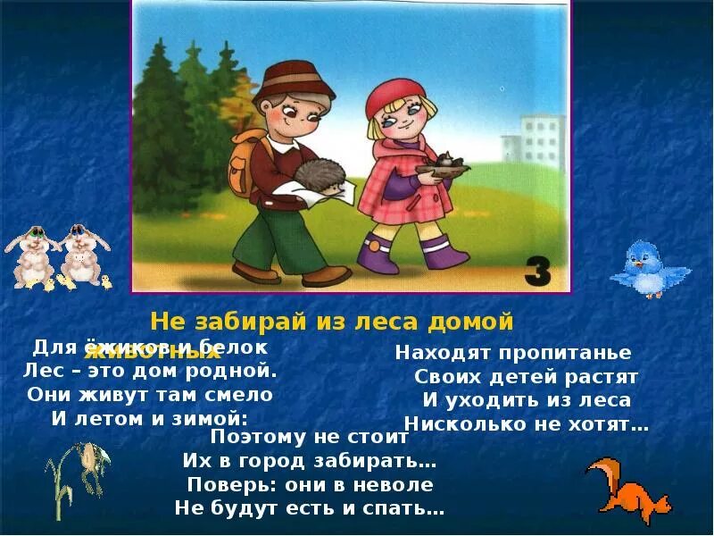 Безопасное поведение в лесу 3 класс. Правила поведения в лесу. правила поведения в лесу в стихах. правила поведения в лесу для детей. правила поведения в лесу слайд.