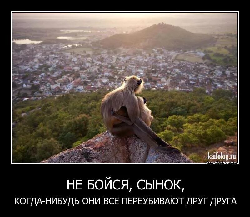 Бойся быть со мной. Бойся бога. не бойся быть смешным цитаты. ничего не боюсь картинки.
