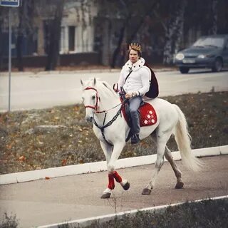 Принц на коне став