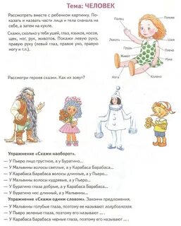 Задания по теме человек