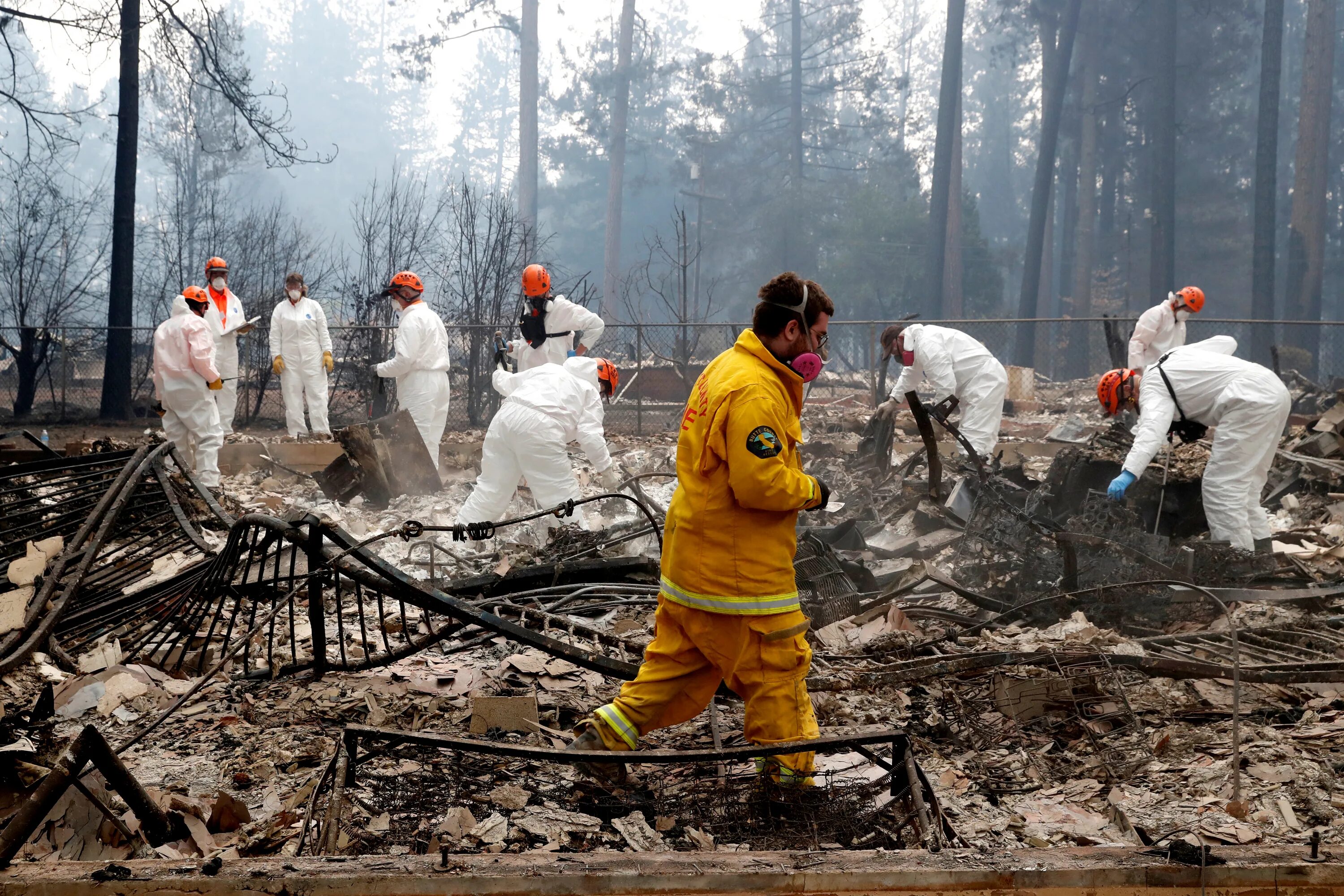 Последствия лесных пожаров. Последствия после пожара. Последствия пожаров лесов. Почему после пожаров