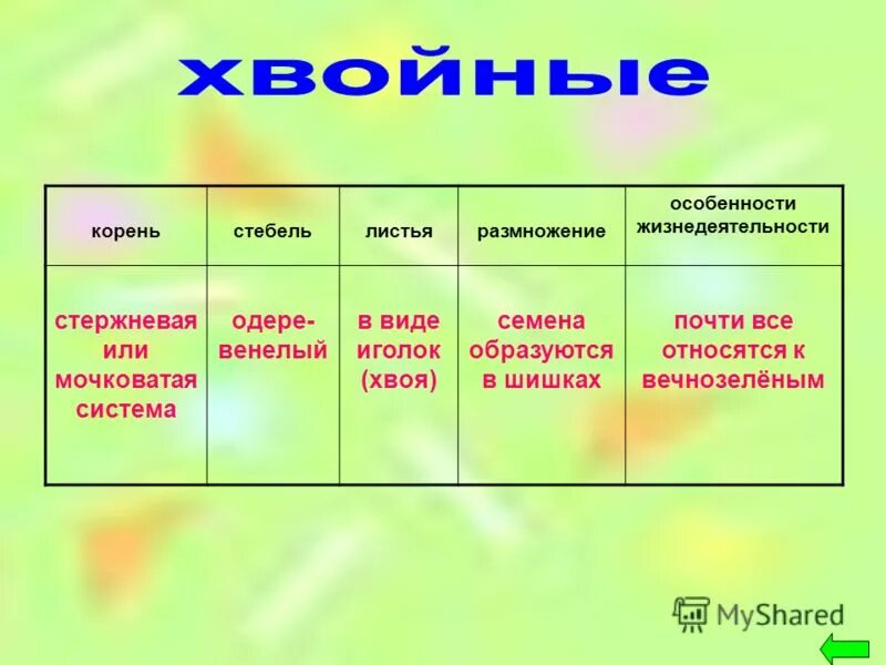 особенности микрофинансирования. особенности строения аллостерических ферментов. особенности жизнедеятельности простейших. особенности строения вирусов. особенности жизнедеятельности хвойных.
