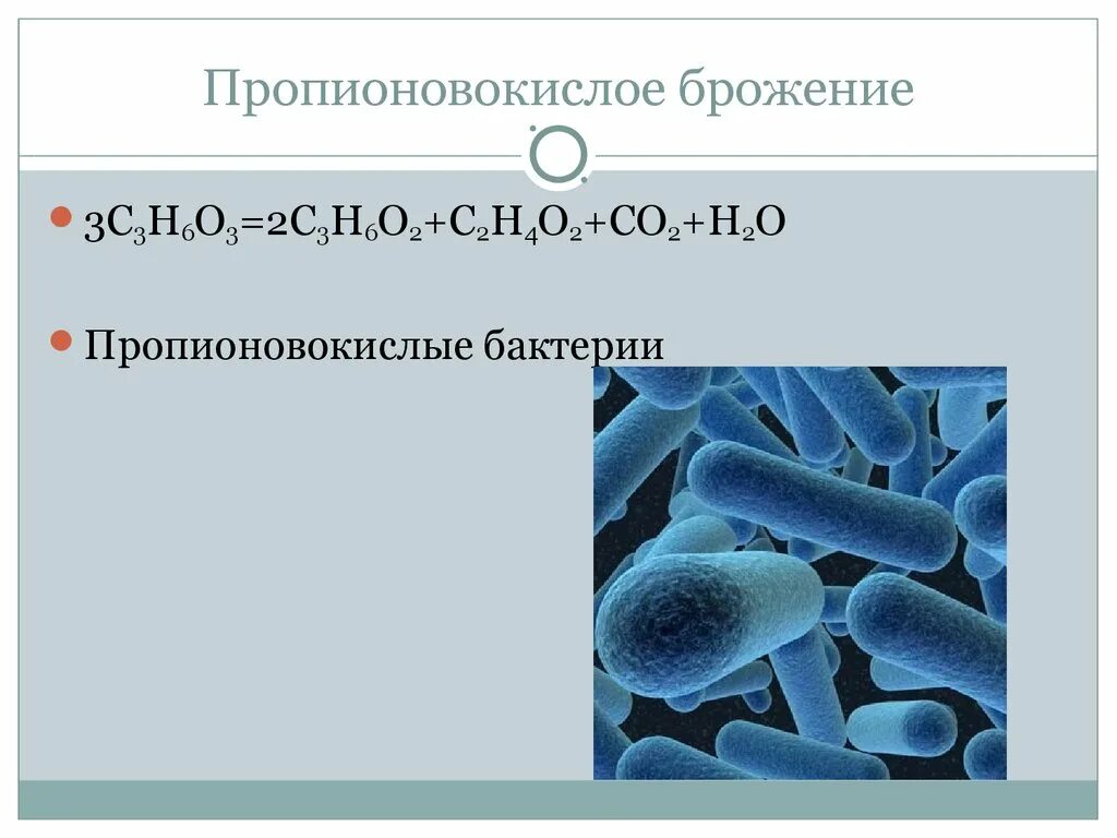 Пропионовокислое брожение бактерии. Пропионовокислое брожение микробиология. Пропионовое кислое брожение. Брожение микроорганизмов. К брожению способны