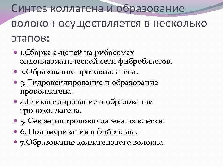 Синтезируют коллаген. Образование коллагеновых волокон схема. Схема синтеза коллагеновых волокон. Этапы синтеза коллагеновых волокон гистология. Этапы образования коллагена.