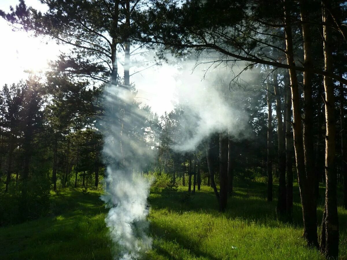 пожар в лесу дым. лесной пожар вид сверху. развеялся (дым) развеялся. дым в лесу. задымление в лесу.