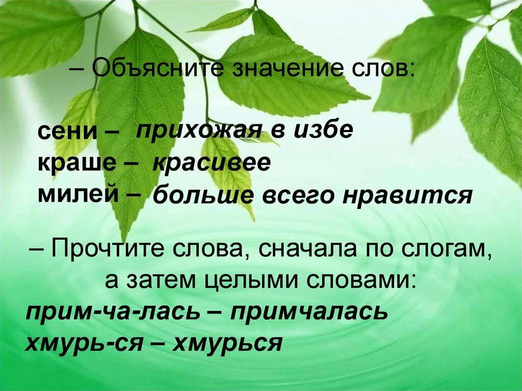 Объяснение слова красива. Сени это значение слова. Слово сени в толковом словаре. Сенцы значение слова. Сени смысл слова.