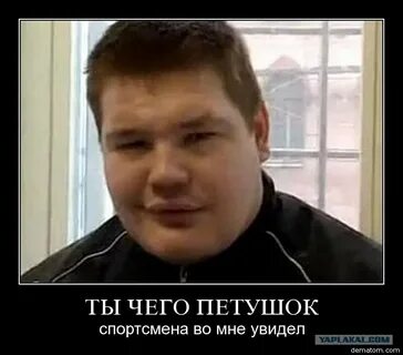 Дацик собака