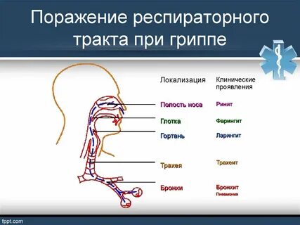 Какое поражение находится