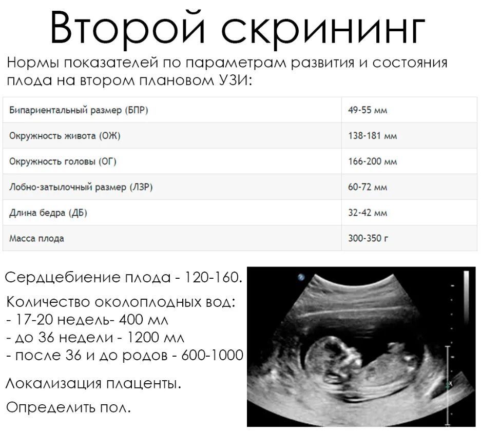 На каких сроках делается. УЗИ 2 скрининг нормы. 2 Скрининг при беременности нормы показателей УЗИ. Скрининг УЗИ при беременности сроки. Первый скрининг при беременности сроки.