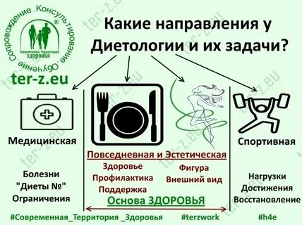 Какие основные направления можно выделить