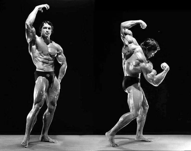 Лунная поза в бодибилдинге. Arnold schwarzenegger позирование. Лунная поза в бодибилдинге. Бодибилдер позирует. Лунная поза в бодибилдинге.