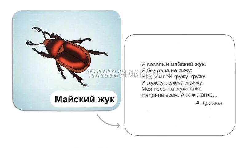 Почему я хрущу. Детские стихи про Жуков. Стихотворение про жука для детей. Стихотворение про майского жука. Загадка про жука для детей.