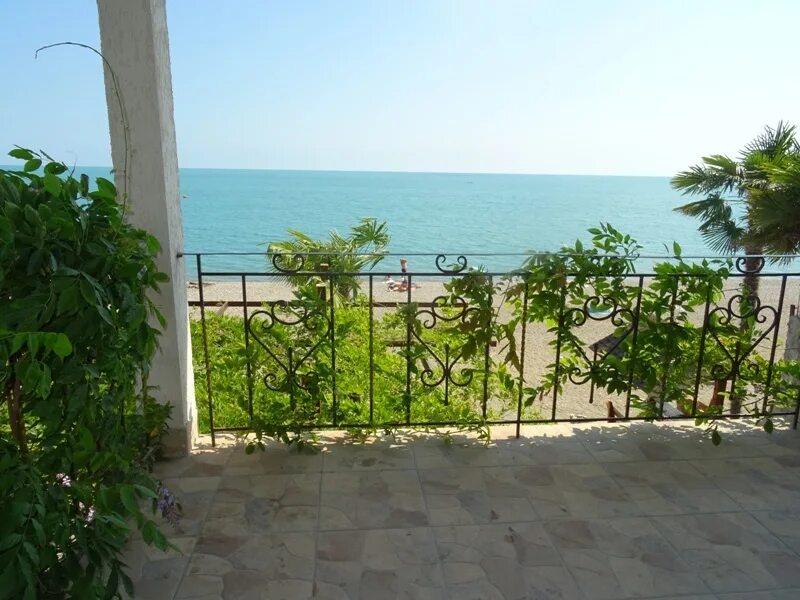 Отель арго абхазия лдзаа. Арго лдзаа. Арго лдзаа. +7 (940) 993-50-57 чанба. Арго лдзаа.