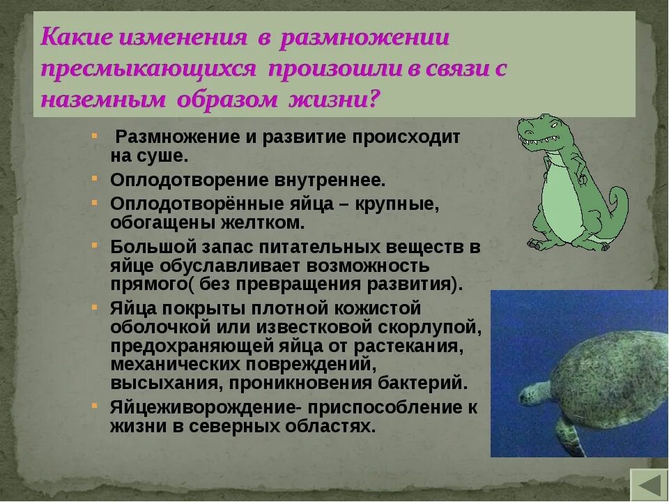 Размножение происходит в воде. Приспособления пресмыкающихся к жизни на суше. класс пресмыкающиеся приспособления. размножение земноводных и пресмыкающихся. развитие рептилий.
