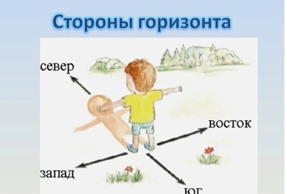 Сторона картинка. Как понять где Север Юг Запад Восток. Как понять Север Запад Юг Восток. Как научиться понимать где Север Запад Юг Восток. Ориентирование на местности Север Юг Запад Восток.