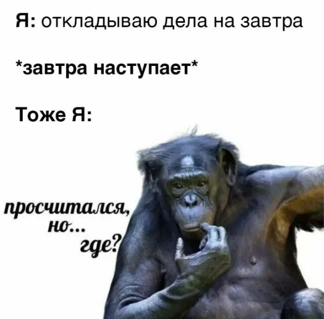 Риски смешные картинки. Формула расчета веса для женщин. Рассчитанная на всех она. Риск был просчитан но я плох в математике мем. Другое надпись.