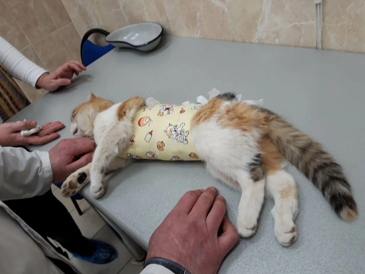Во сколько можно стерилизовать