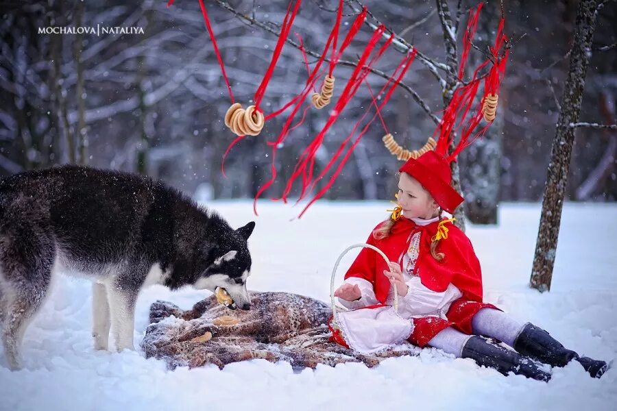 новогодняя собака хаски. волк новый год. волк под елкой. волки в новогодних шапочках. новогодний волчонок.