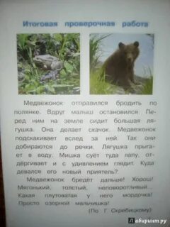 Медвежонок отправился