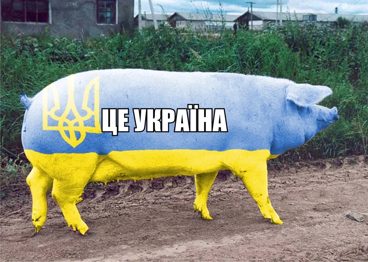Вечерний квартал 31 12 2013. Смешные слова на украинском языке. Втик. Вечерний квартал 31 12 2013. Усатый белорус.
