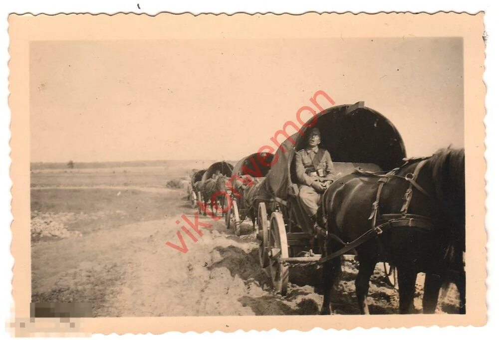 Колонна повозок. Дилижанс сша 19 века. Телега фургон. Пароконная бричка. Телега.