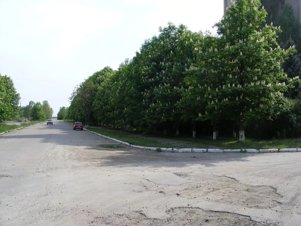 Желтые воды Днепропетровская область. Город жёлтые воды Днепропетровской области. Желтые воды Днепропетровская область Заводская улица. Город желтые воды. Желтые воды область