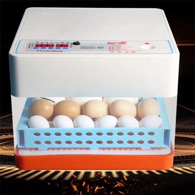 Инкубаторы для яиц птиц купить. Fully Automatic Egg incubator. Инкубатор для яиц ht1205. Инкубатор для яиц автоматический на 20 яиц. Инкубатор для яиц автоматический на 50 яиц.